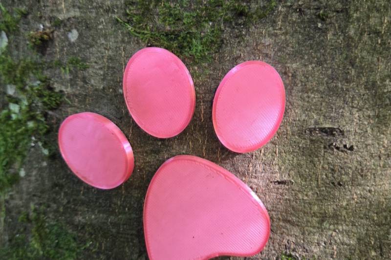 Cacheempfehlung: Paulchen Panther 