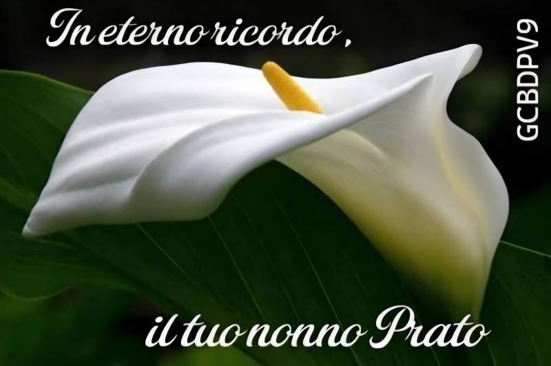 Neuer Termincache in Bremen: 1770162728-1768937325=1225403