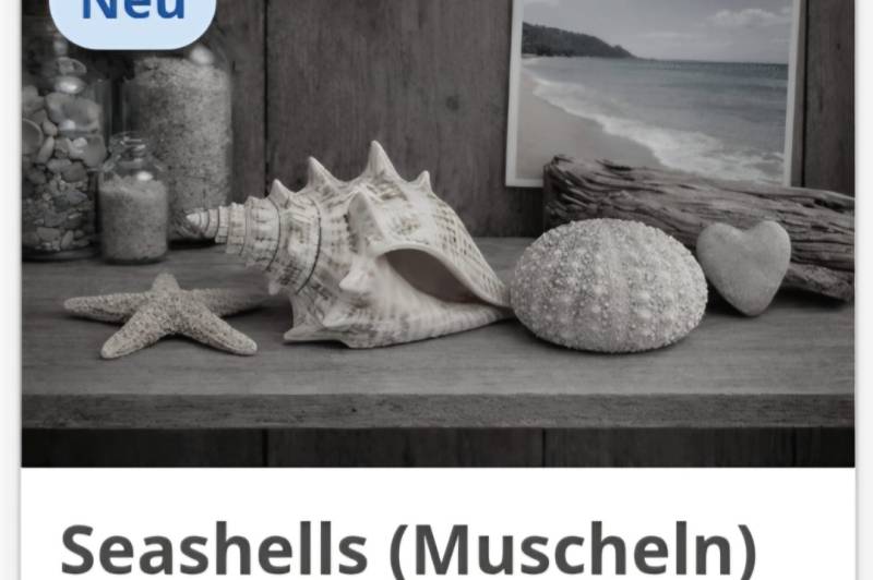 Neue Sammlung : 1770162728-1768939064=1223664