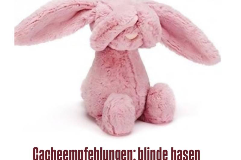 Cacheempfehlungen: blinde_hasen: 1746479800-1745409056=1070744